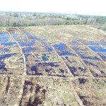 Fenn's and Whixall Mosses Bunding