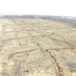 Large scale restoration site