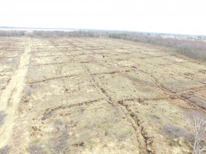 Low land Mire Restoration